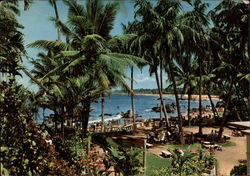 Tropical Garden, Mount LaAvinia Hotel Postcard