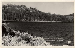 View of Buck's Lake Postcard