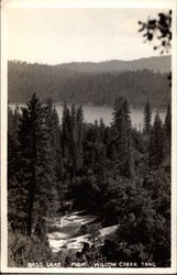 Bass Lake from Willow Creek Trail California Postcard Postcard