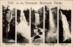 Falls in the Yosemite National Park Postcard