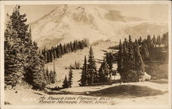 Mt. Rainier from Paradise Valley Mount Rainier National Park, WA Postcard Postcard