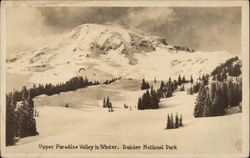 Upper Paradise Valley in Winter Washington Postcard Postcard