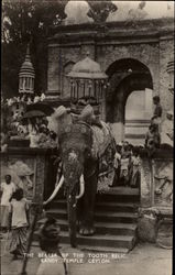 The Bearer of the Tooth Relic Sri Lanka Southeast Asia Postcard Postcard