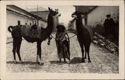 Costumbres de Indios Ecuador South America Postcard Postcard