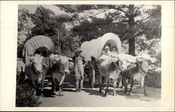 Two Covered Ox-Carts at Marlen Palmer Ox Farm Newaygo, MI Postcard Postcard