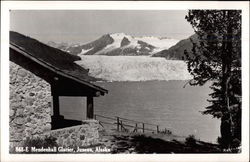 Mendenhall Glacier Postcard