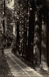 Redwood Highway Postcard