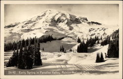 Early Spring in Paradise Valley Postcard