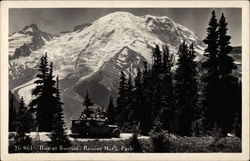 Bus at Sunrise, Rainier National Park Postcard