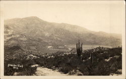 Apache Trail with Mountains and Cactus Postcard