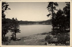 Bass Lake California Postcard Postcard