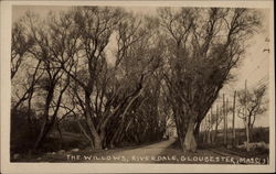 The Willows at Riverdale Postcard