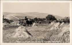 Threshing Scene Yakima Valley, WA Postcard Postcard