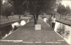 Trout Rearing Pond Postcard