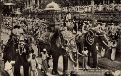 Temple Elephants Carrying the Sacred Tooth Relic Postcard