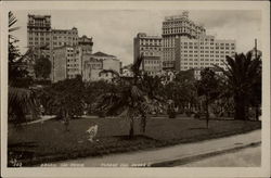 Parque Don Pedro II Postcard