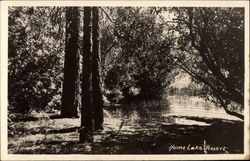 Lake View, Hume Lake Resort California Postcard Postcard