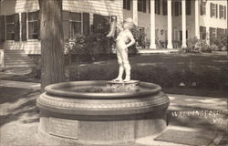 Fountain with Statue of Boy Postcard