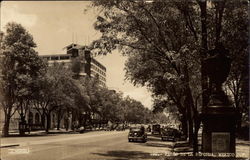 Paseo de la Reforma Postcard