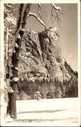 Yosemite National Park California Postcard Postcard