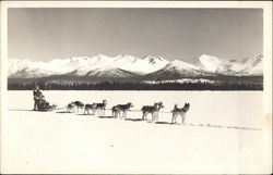 Dog Sled with Snowy Mountain Background Postcard Postcard