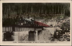 Canadian Pacific Railway "Imperial Limited" at No. 2 Tunnel Postcard