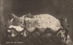 Dead to the World Postcard