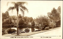 A Lovely View in the Gardens Melbourne, Australia Postcard Postcard