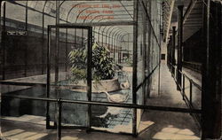 Interior of the Zoo at Swope Park Postcard