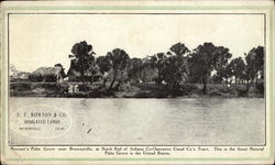 E.F. Rowson & Co., Irrigated Lands Brownsville, TX Postcard Postcard