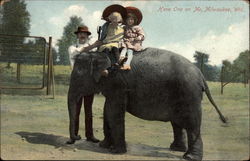 Elephant Riding - Have One on Me Milwaukee, WI Elephants Postcard Postcard