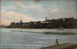 The Pines on Ferry Hill Postcard