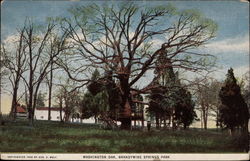 Washington Oak, Brandywine Springs Park Wilmington, DE Postcard Postcard