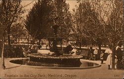 Fountain in the City Park Postcard