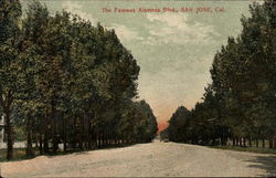 Almeda Boulevard San Jose, CA Postcard Postcard