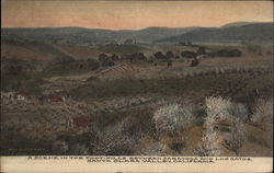 A Scene in the Foot-Hills between Saratoga and Los Gatos California Postcard Postcard