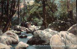 Alum Rock Park in Winter San Jose, CA Postcard Postcard