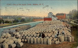 One of the Apple Yards Postcard