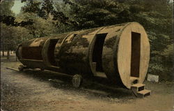 Tree Trunk Trailer Postcard