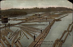 Sorting Logs on the Kennebec Postcard