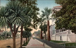 Residence Street Postcard