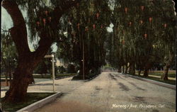 Marengo Ave Postcard