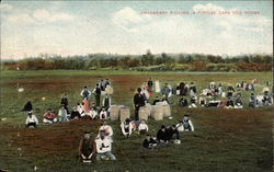 Cranberry Picking, a Typical Cape Cod Scene Massachusetts Postcard Postcard