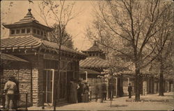 Bird Cages, Zoo Postcard