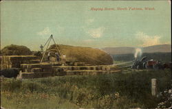 Haying Scene Postcard