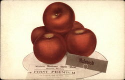 Western Montana Apple Show - McIntosh Apples Missoula, MT Postcard Postcard