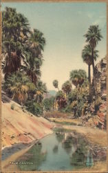 Palm Canyon - Gold Border Palm Springs, CA Postcard Postcard