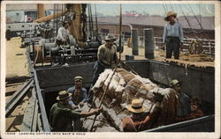 Loading Cotton into Ship's Hold Postcard