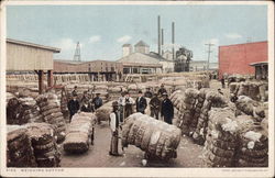 Weighing Cotton Postcard