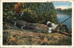 Waiting for a Bite in Florida Postcard Postcard